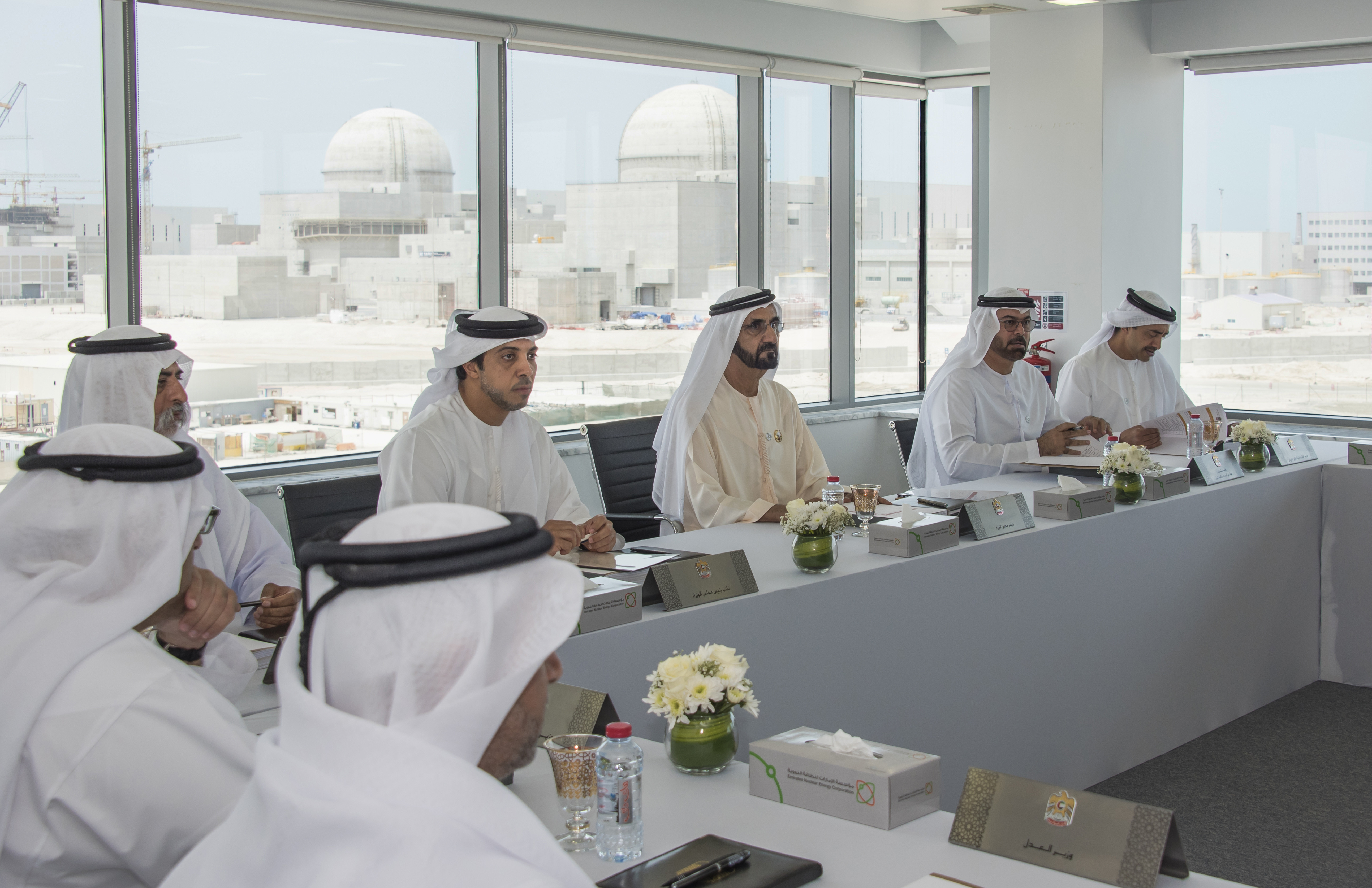 UAE Cabinet visit