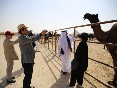 Al Dhafrah Camel Festival 2016